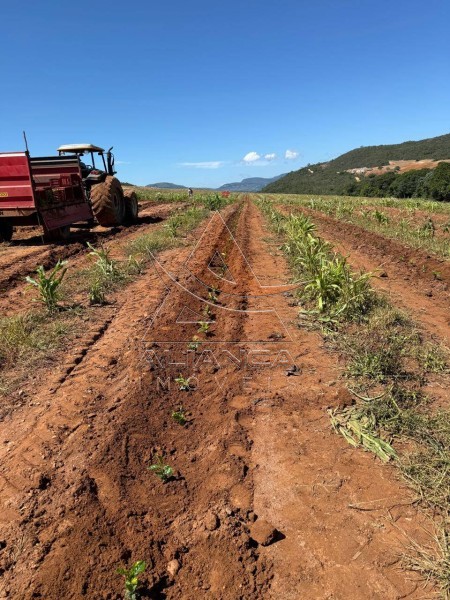 Aliança Imóveis - Imobiliária em Ribeirão Preto - SP - Fazenda  - Zona Rural - Capitólio