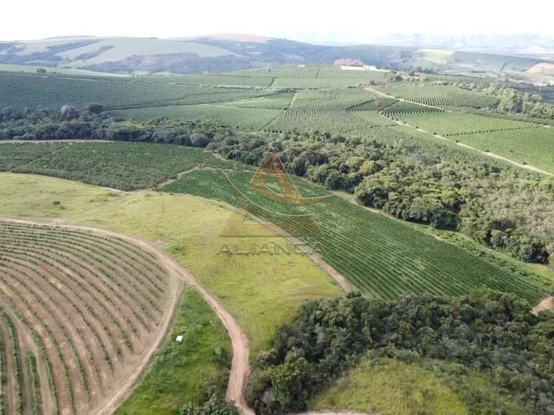Aliança Imóveis - Imobiliária em Ribeirão Preto - SP - Fazenda  - Zona Rural - Capitólio