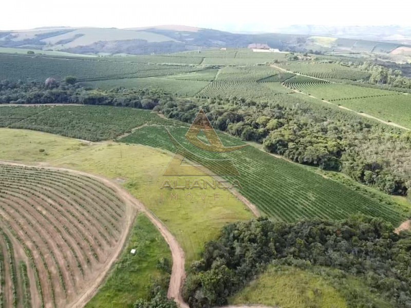 Aliança Imóveis - Imobiliária em Ribeirão Preto - SP - Fazenda  - Zona Rural - Guapé