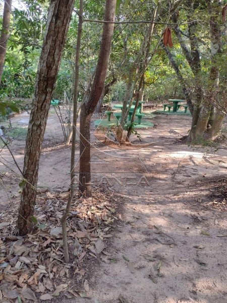 Aliança Imóveis - Imobiliária em Ribeirão Preto - SP - Sítio - Zona Rural - Pedregulho 