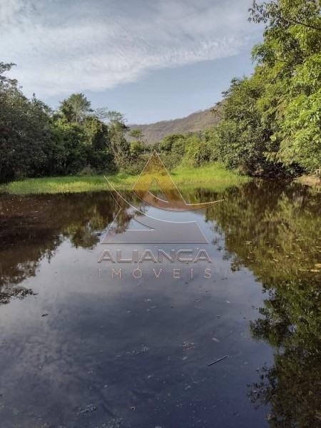 Aliança Imóveis - Imobiliária em Ribeirão Preto - SP - Sítio - Zona Rural - Pedregulho 
