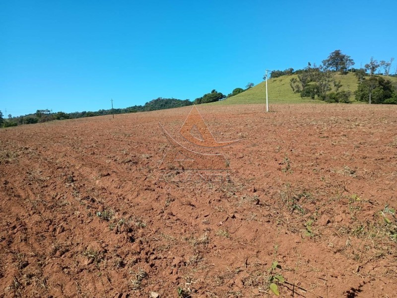 Aliança Imóveis - Imobiliária em Ribeirão Preto - SP - Sítio - Zona Rural - Arceburgo