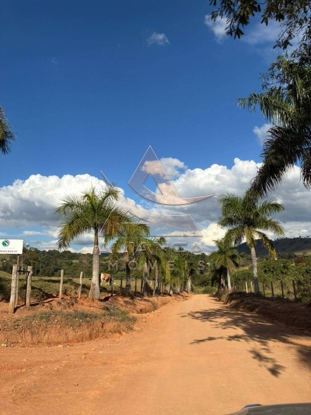Aliança Imóveis - Imobiliária em Ribeirão Preto - SP - Sítio - Zona Rural - Arceburgo