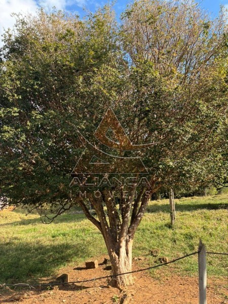 Aliança Imóveis - Imobiliária em Ribeirão Preto - SP - Sítio - Zona Rural - Arceburgo