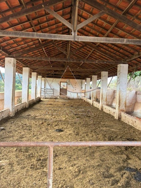 Aliança Imóveis - Imobiliária em Ribeirão Preto - SP - Sítio - Zona Rural - Arceburgo