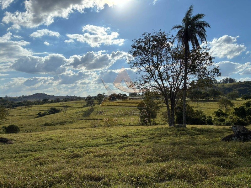 Aliança Imóveis - Imobiliária em Ribeirão Preto - SP - Sítio - Zona Rural - Arceburgo