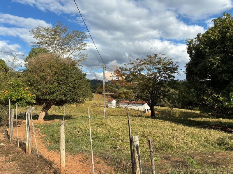 Aliança Imóveis - Imobiliária em Ribeirão Preto - SP - Sítio - Zona Rural - Arceburgo
