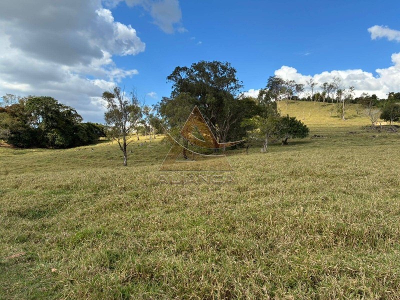Aliança Imóveis - Imobiliária em Ribeirão Preto - SP - Sítio - Zona Rural - Arceburgo