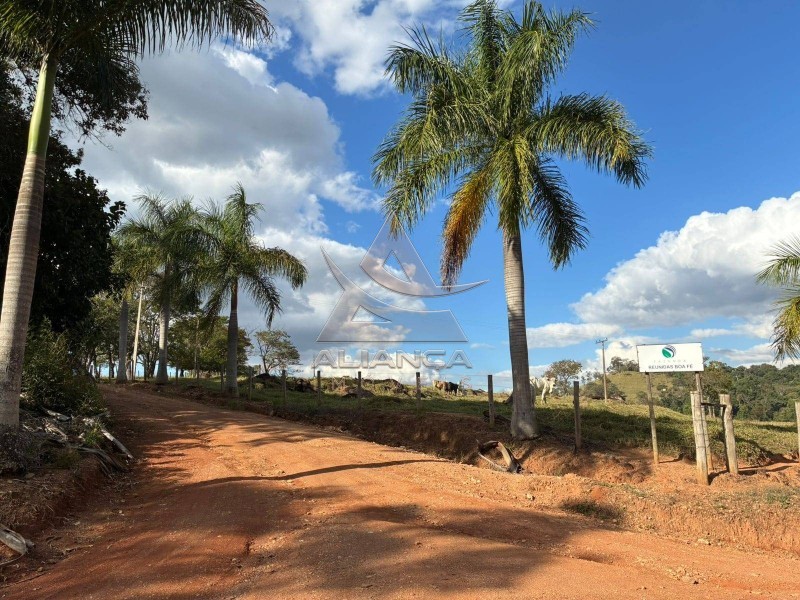 Aliança Imóveis - Imobiliária em Ribeirão Preto - SP - Sítio - Zona Rural - Arceburgo