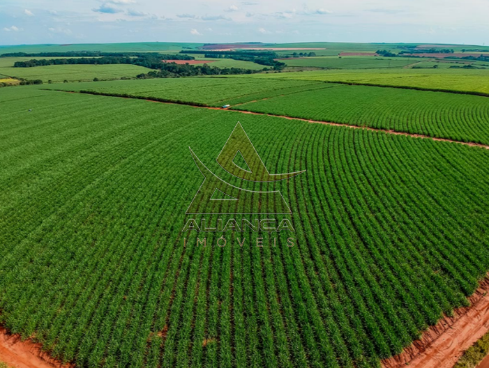 Aliança Imóveis - Imobiliária em Ribeirão Preto - SP - Fazenda  - Zona Rural - Cajuru 