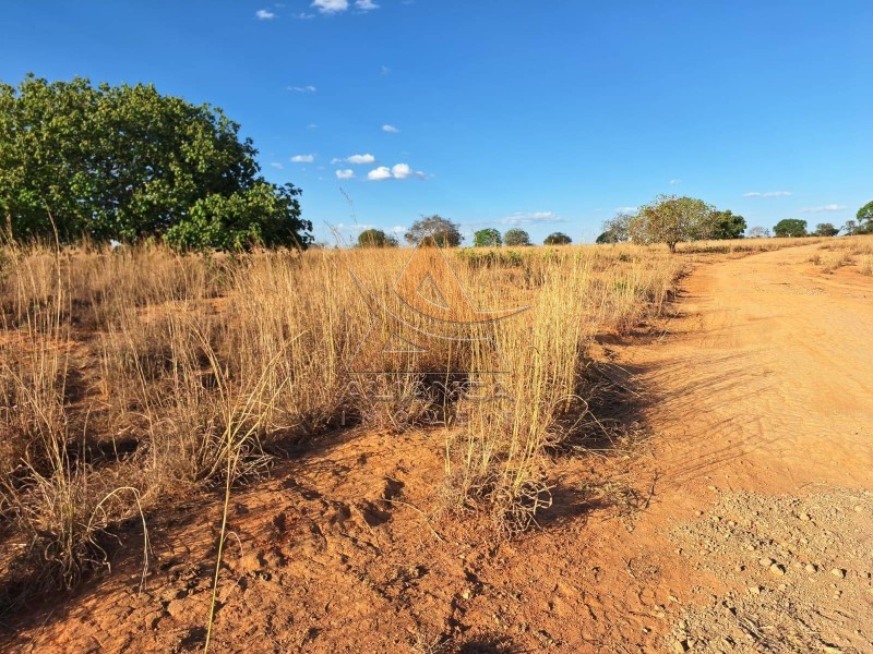 Aliança Imóveis - Imobiliária em Ribeirão Preto - SP - Fazenda  - Zona Rural - Colinas