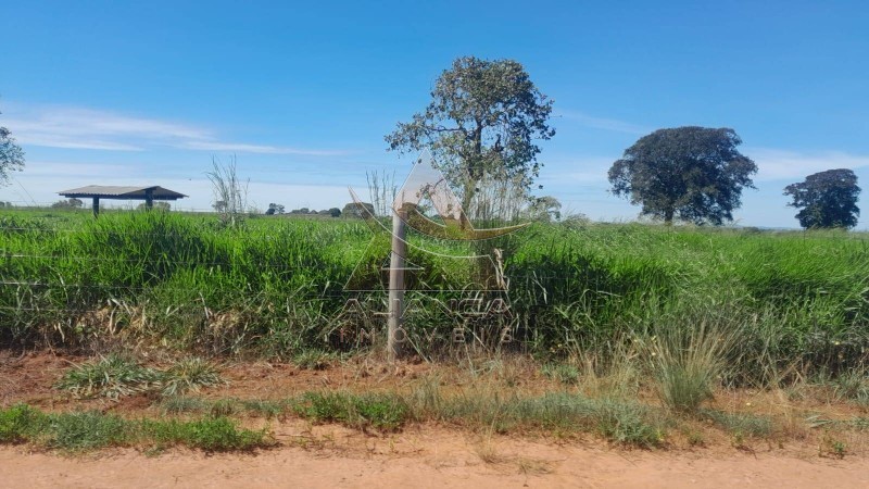 Aliança Imóveis - Imobiliária em Ribeirão Preto - SP - Fazenda  - Zona Rural - Colinas