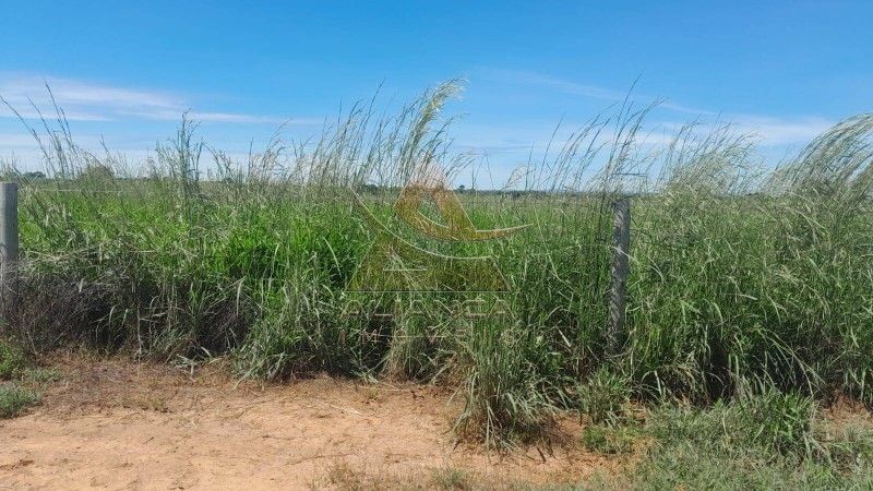 Aliança Imóveis - Imobiliária em Ribeirão Preto - SP - Fazenda  - Zona Rural - Colinas