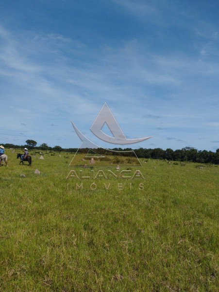 Aliança Imóveis - Imobiliária em Ribeirão Preto - SP - Fazenda  - Zona Rural - Colinas