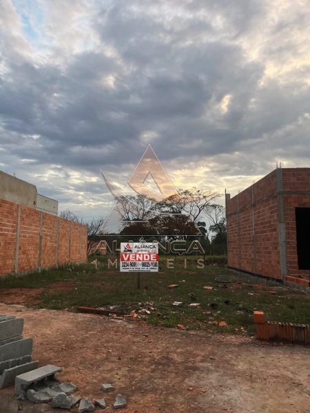 Aliança Imóveis - Imobiliária em Ribeirão Preto - SP - Terreno - Reserva do Bosque - Ribeirão Preto