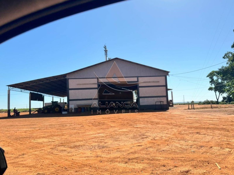 Aliança Imóveis - Imobiliária em Ribeirão Preto - SP - Fazenda  - Zona Rural - SÃO JOSÉ DO RIO CLARO