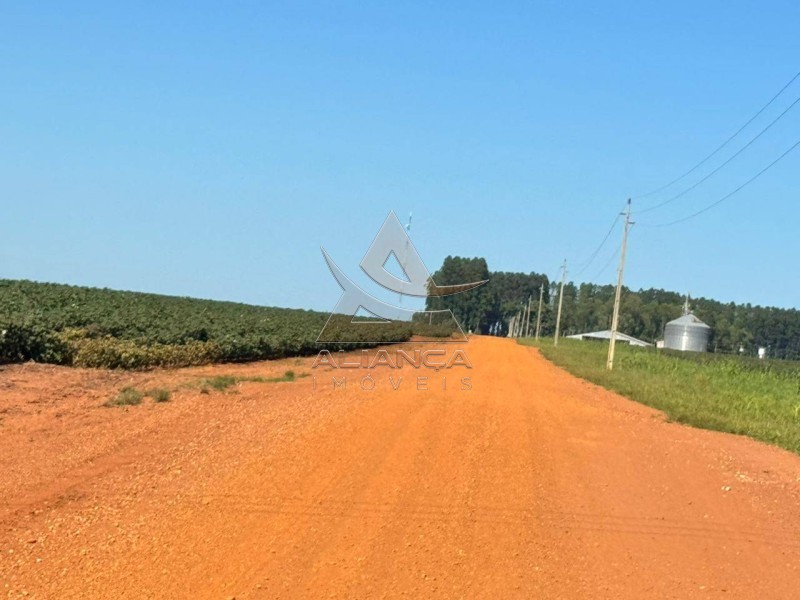 Aliança Imóveis - Imobiliária em Ribeirão Preto - SP - Fazenda  - Zona Rural - SÃO JOSÉ DO RIO CLARO