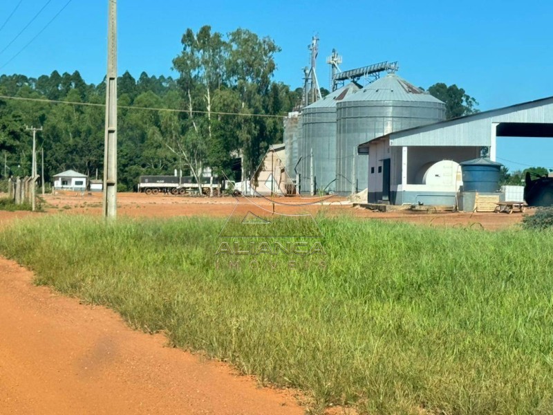 Aliança Imóveis - Imobiliária em Ribeirão Preto - SP - Fazenda  - Zona Rural - SÃO JOSÉ DO RIO CLARO