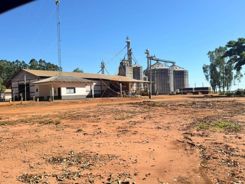 Aliança Imóveis - Imobiliária em Ribeirão Preto - SP - Fazenda  - Zona Rural - SÃO JOSÉ DO RIO CLARO