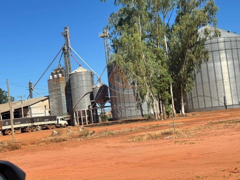 Aliança Imóveis - Imobiliária em Ribeirão Preto - SP - Fazenda  - Zona Rural - SÃO JOSÉ DO RIO CLARO
