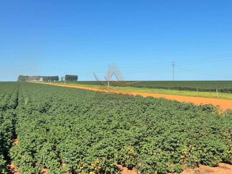 Aliança Imóveis - Imobiliária em Ribeirão Preto - SP - Fazenda  - Zona Rural - SÃO JOSÉ DO RIO CLARO