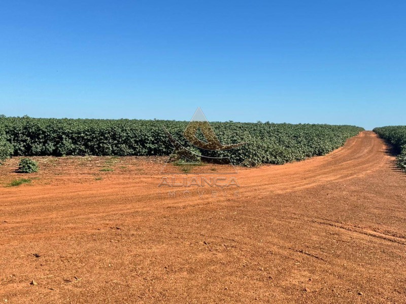 Aliança Imóveis - Imobiliária em Ribeirão Preto - SP - Fazenda  - Zona Rural - SÃO JOSÉ DO RIO CLARO