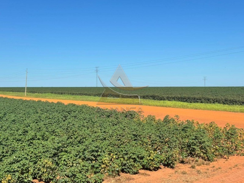 Aliança Imóveis - Imobiliária em Ribeirão Preto - SP - Fazenda  - Zona Rural - SÃO JOSÉ DO RIO CLARO