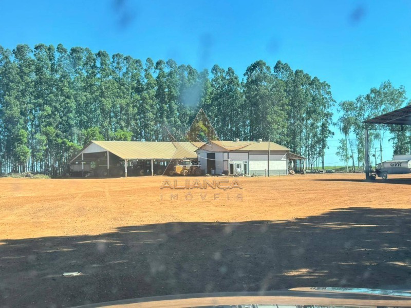 Aliança Imóveis - Imobiliária em Ribeirão Preto - SP - Fazenda  - Zona Rural - SÃO JOSÉ DO RIO CLARO