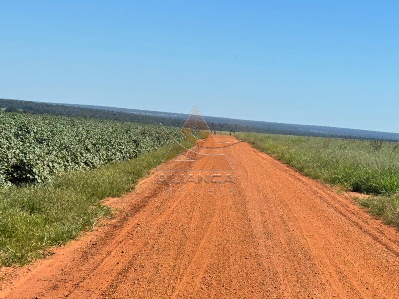Aliança Imóveis - Imobiliária em Ribeirão Preto - SP - Fazenda  - Zona Rural - SÃO JOSÉ DO RIO CLARO