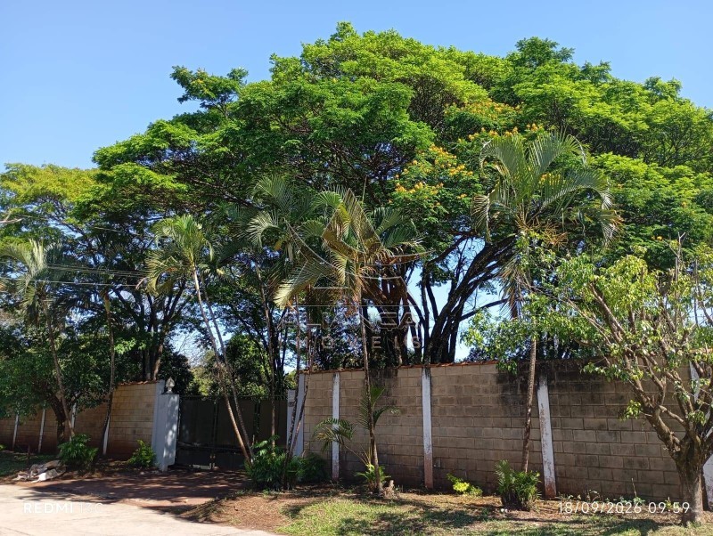 Aliança Imóveis - Imobiliária em Ribeirão Preto - SP - Chácara - Itanhangá  - Ribeirão Preto