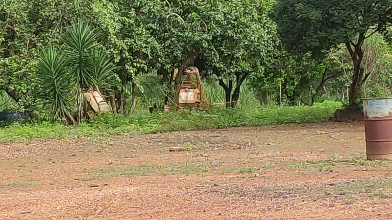 Aliança Imóveis - Imobiliária em Ribeirão Preto - SP - Fazenda  - Zona Rural - Padre Bernardo