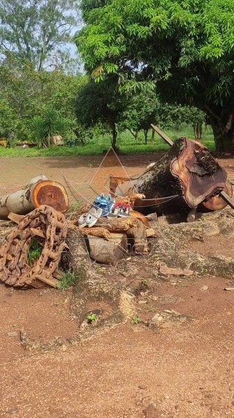 Aliança Imóveis - Imobiliária em Ribeirão Preto - SP - Fazenda  - Zona Rural - Padre Bernardo