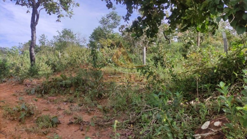 Aliança Imóveis - Imobiliária em Ribeirão Preto - SP - Fazenda  - Zona Rural - Padre Bernardo