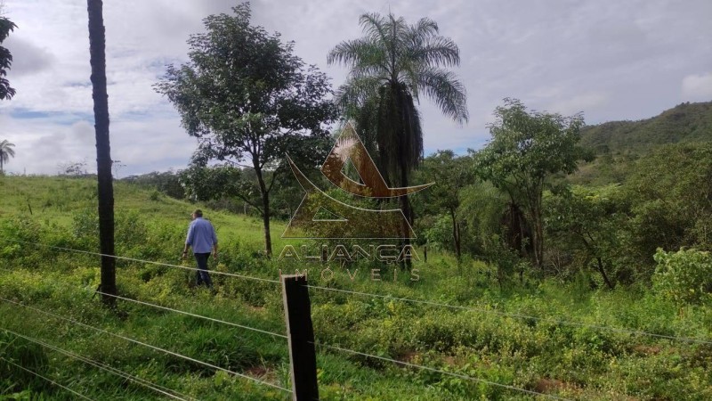 Aliança Imóveis - Imobiliária em Ribeirão Preto - SP - Fazenda  - Zona Rural - Padre Bernardo