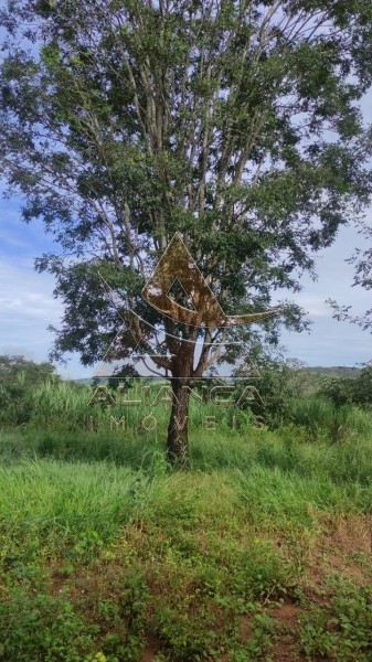 Aliança Imóveis - Imobiliária em Ribeirão Preto - SP - Fazenda  - Zona Rural - Padre Bernardo