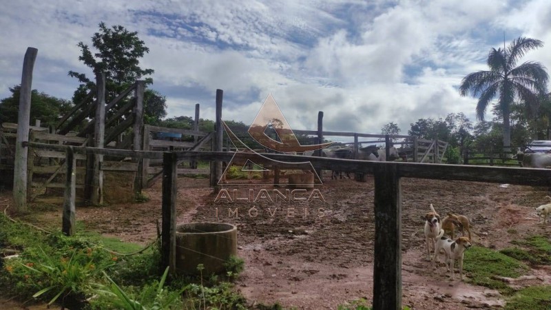 Aliança Imóveis - Imobiliária em Ribeirão Preto - SP - Fazenda  - Zona Rural - Padre Bernardo