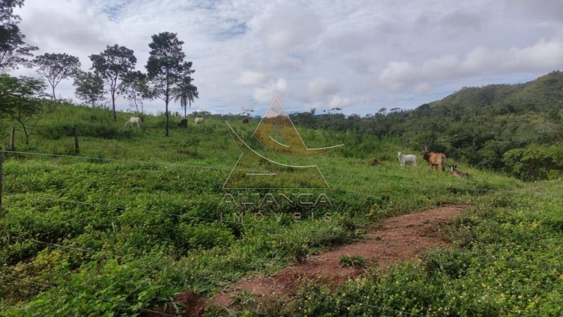 Aliança Imóveis - Imobiliária em Ribeirão Preto - SP - Fazenda  - Zona Rural - Padre Bernardo