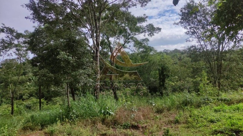Aliança Imóveis - Imobiliária em Ribeirão Preto - SP - Fazenda  - Zona Rural - Padre Bernardo