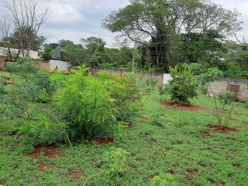 Aliança Imóveis - Imobiliária em Ribeirão Preto - SP - Terreno - Recreio das Acácias - Ribeirão Preto