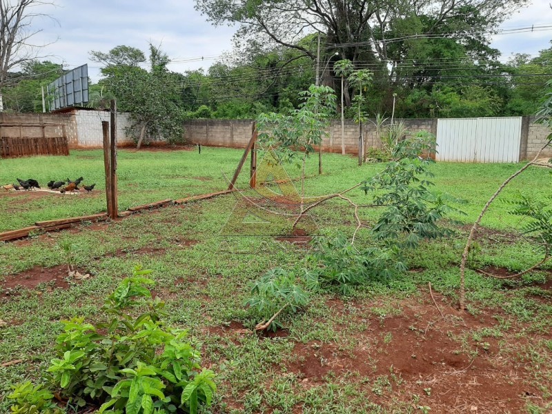 Aliança Imóveis - Imobiliária em Ribeirão Preto - SP - Terreno - Recreio das Acácias - Ribeirão Preto