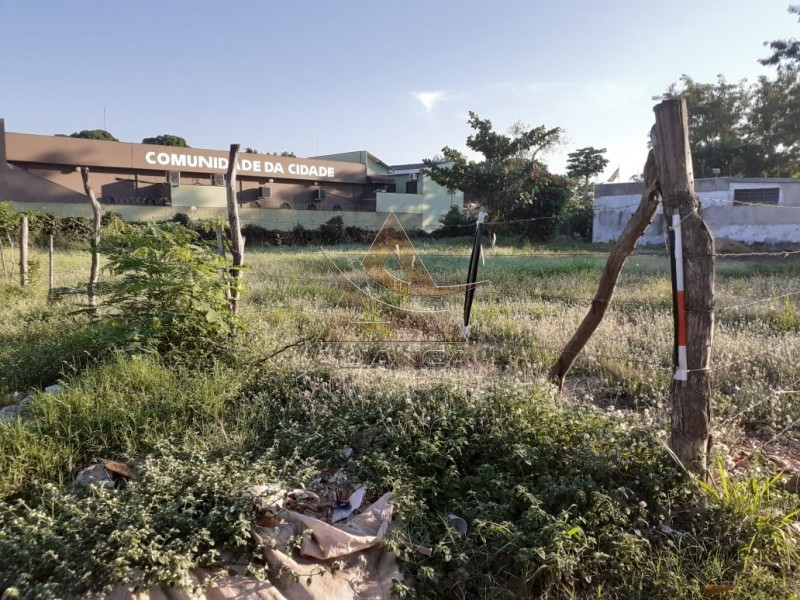 Aliança Imóveis - Imobiliária em Ribeirão Preto - SP - Terreno - Ipiranga - Ribeirão Preto