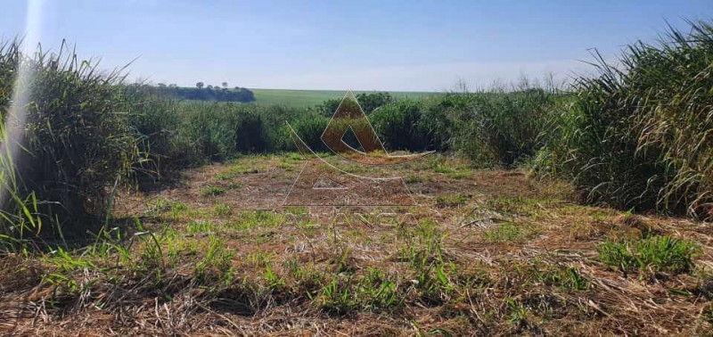 Aliança Imóveis - Imobiliária em Ribeirão Preto - SP - Terreno - Reserva Macaúba - Ribeirão Preto