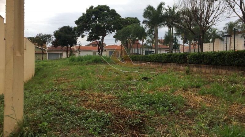 Terreno - Jardim Califórnia - Ribeirão Preto