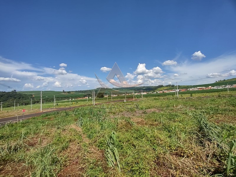 Aliança Imóveis - Imobiliária em Ribeirão Preto - SP - Terreno - Bonfim Paulista - Ribeirão Preto