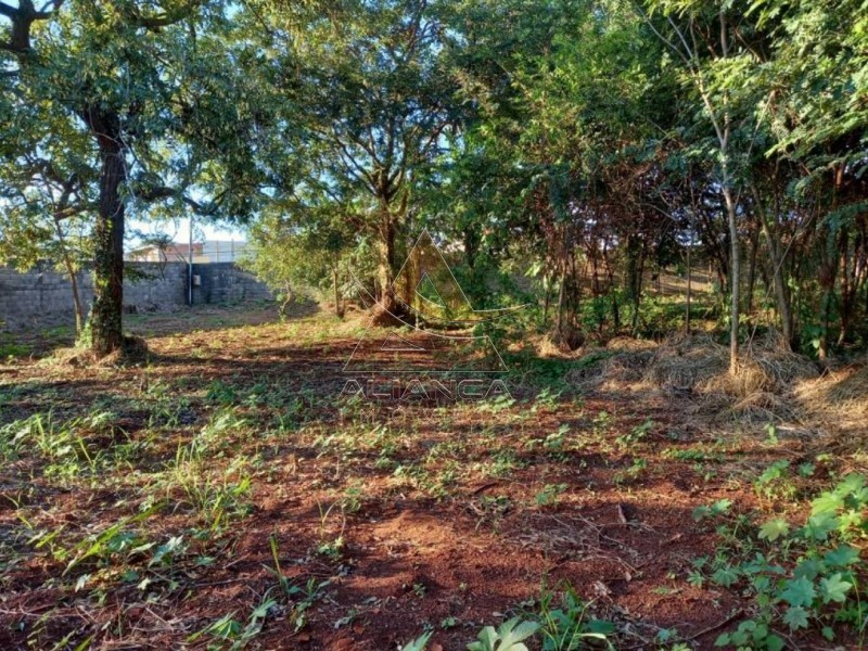 Terreno - Ribeirânia - Ribeirão Preto