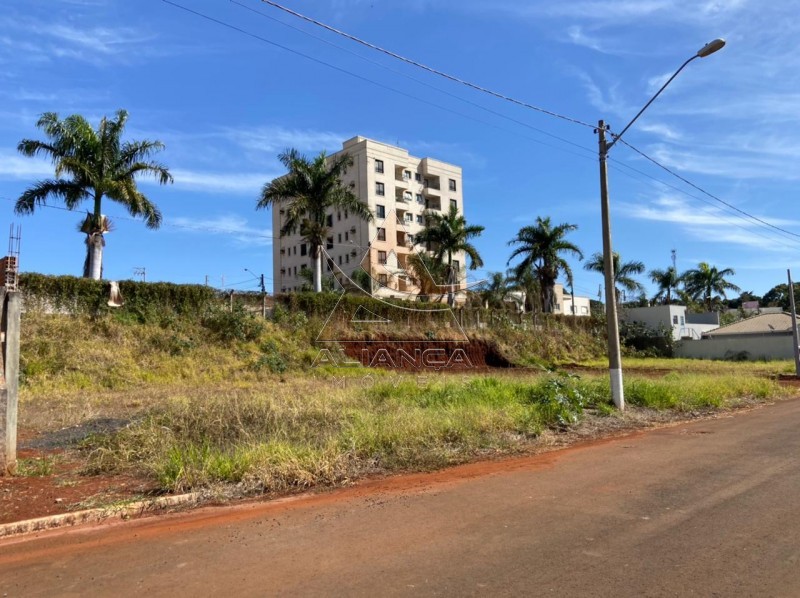 Aliança Imóveis - Imobiliária em Ribeirão Preto - SP - Terreno - Imaculada II - Brodowski