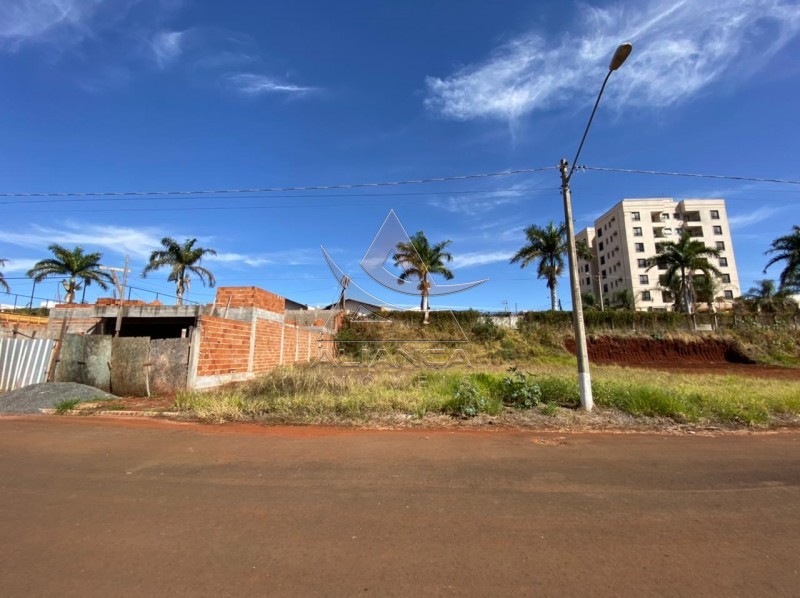 Aliança Imóveis - Imobiliária em Ribeirão Preto - SP - Terreno - Imaculada II - Brodowski