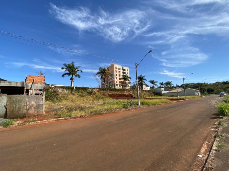 Aliança Imóveis - Imobiliária em Ribeirão Preto - SP - Terreno - Imaculada II - Brodowski