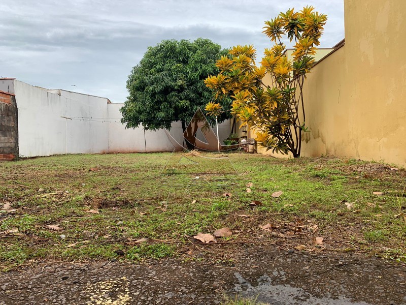 Aliança Imóveis - Imobiliária em Ribeirão Preto - SP - Terreno - Parque Anhanguera  - Ribeirão Preto