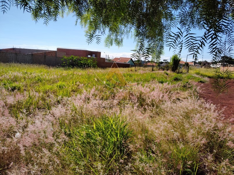 Aliança Imóveis - Imobiliária em Ribeirão Preto - SP - Terreno - Jardim Quebec - Brodowski